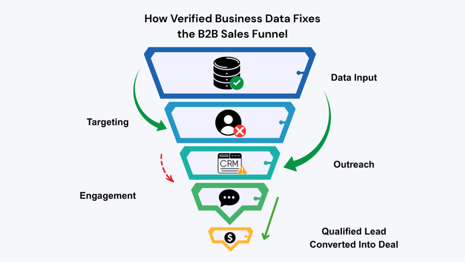 Infographic of B2B sales funnel showing how verified business data improves targeting, CRM outreach, engagement, and lead conversion